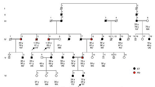 Parkinson Disease and Essential Tremor Gene is Found